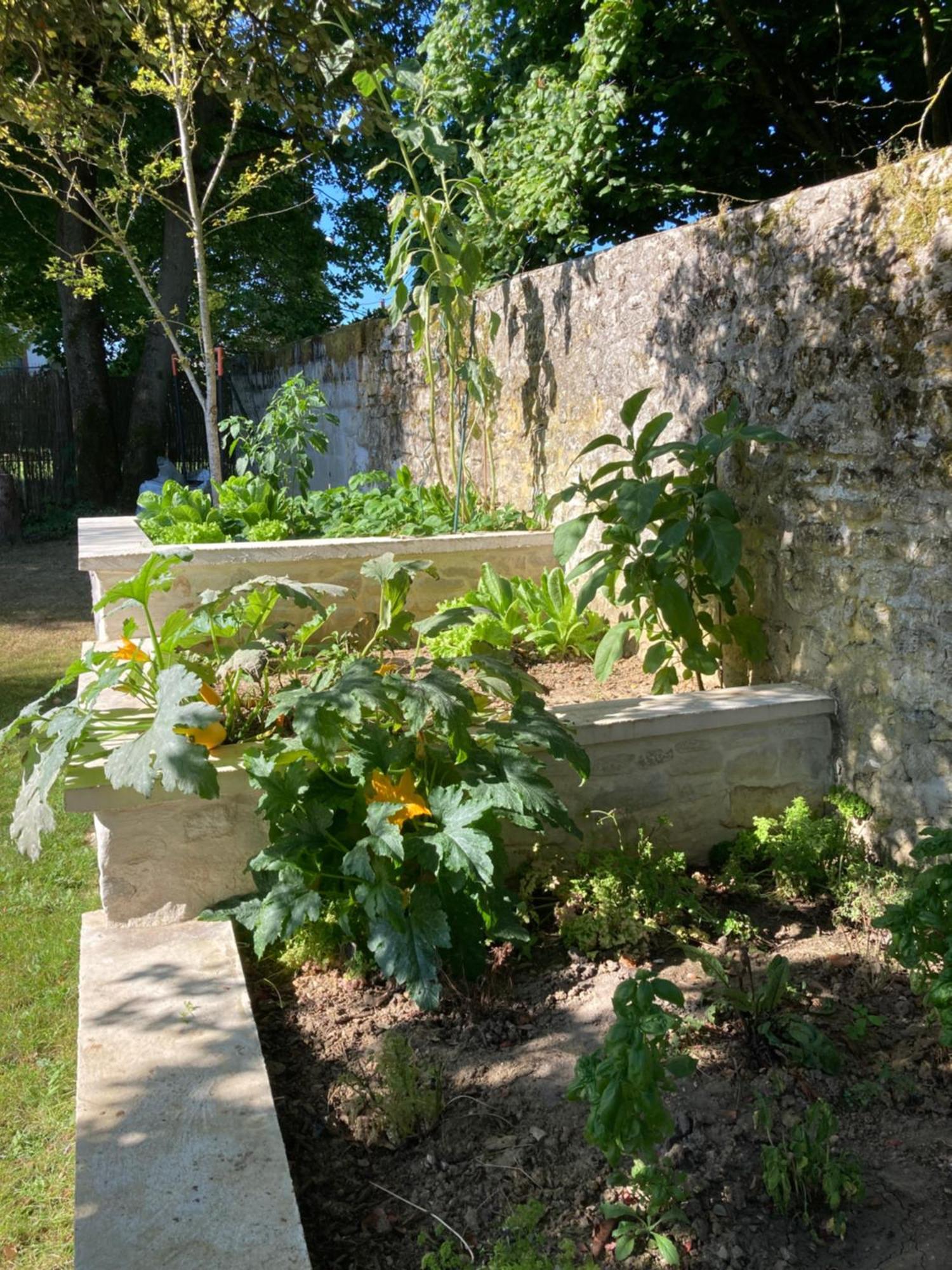 Pierres Et Jardins Bed & Breakfast Senlis  Exterior photo