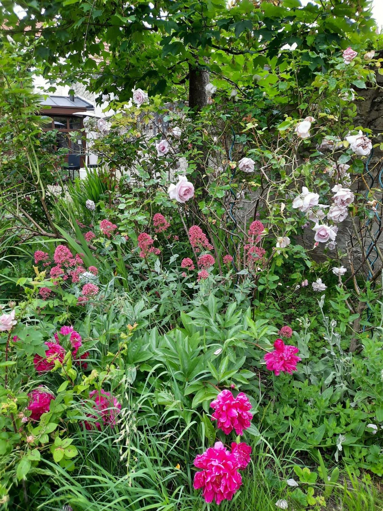 Pierres Et Jardins Bed & Breakfast Senlis  Exterior photo